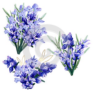 Hand painted watercolor lavender bouquet