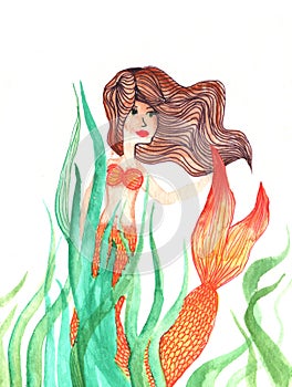 Hand painted watercolor mermaid photo