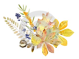 Hand painted watercolor mockup clipart template of autumn leaves