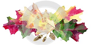 Hand painted watercolor mockup clipart template of autumn leaves photo