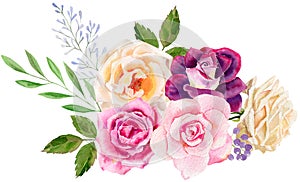 Hand painted watercolor mockup clipart template of roses