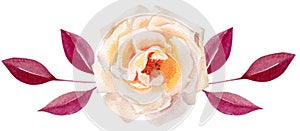 Hand painted watercolor mockup clipart template of roses