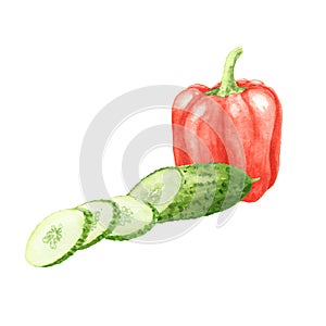 Watercolor paprika vegetable with green cucumber isolated on white background. red bell pepper