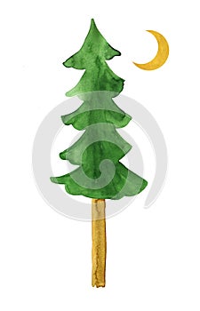 Hand painted watercolor pine and yellow moon. Isolated on white background