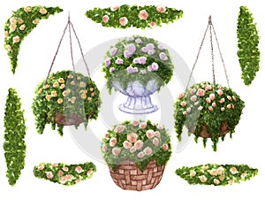 Hand painted watercolor set of roses in baskets and flourish borders with leaves isolated on white background