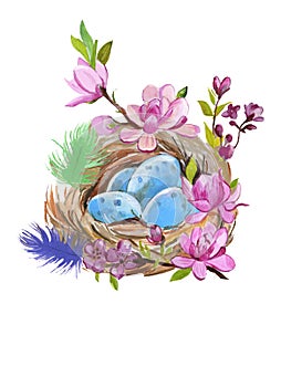 Hand painted watercolor thrush`s nest with eggs on white. Aquarelle nature illustration.