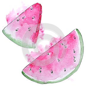 Hand painted watercolor watermelon isolated on white background