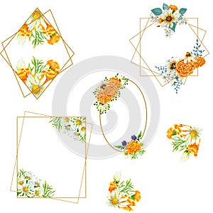 Hand painted wild flower frames