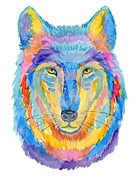 Hand painting colorful wolf illustration. Watercolor totem animal isolated on white background.