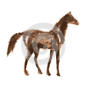 Hand painting sepia wet watercolor foal horse on white background.