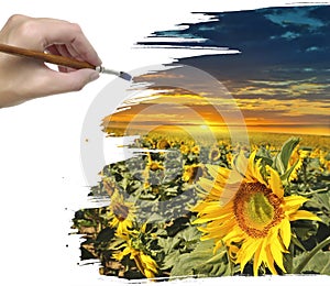 Hand painting sunflower field