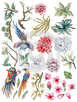 Hand painting watercolor illustrationinspired by phoenix bird asain chinese Korean and Japan kimono Chrysanthemum peonies flower