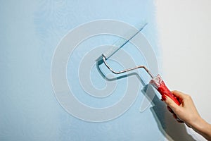 A hand painting a white wall with light blue tint roller