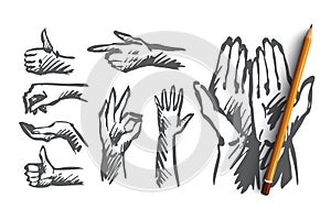 Hand, palm, human, finger, gesture concept. Hand drawn isolated vector.