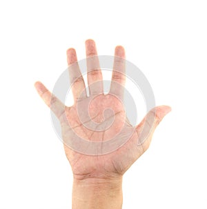 Hand palm isolated