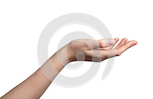 Hand palm stretching out, cup shape, showing gesture, isolated on white background