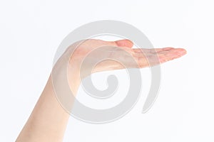 A hand palm up in the white background