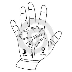 Hand for palmist, palm reading card