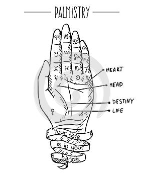 Hand and palmistry scheme