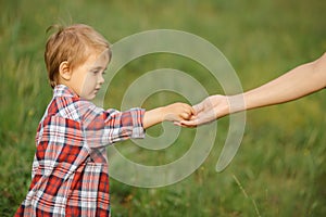 Hand of parent and child portrait