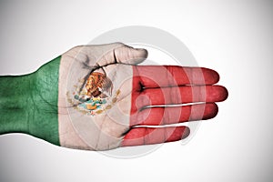 Hand patterned with the flag of Mexico photo