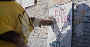 Hand, paw rips ad from board vacancy side job dog walking. Stand announcements