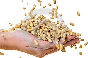 Hand with pellets as an old natie energy