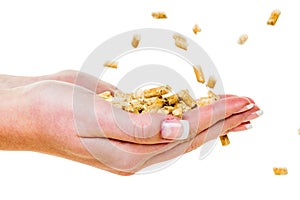 Hand with pellets as old natie energy