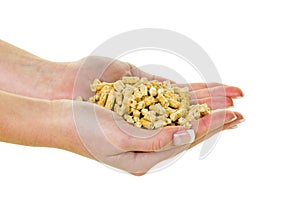 Hand with pellets as old natie energy