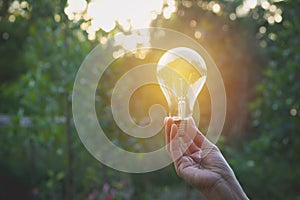 Hand of person holding light bulb for Idea and creativity,