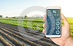 Hand with a phone on the background of a farm field. Quality control. Innovative modern technologies in agriculture. Collect data