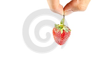 Hand pick up strawberry