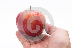 Hand picking an apple