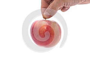 Hand picking an apple