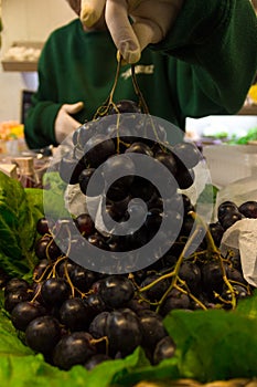 Hand picking a bunch of grapes