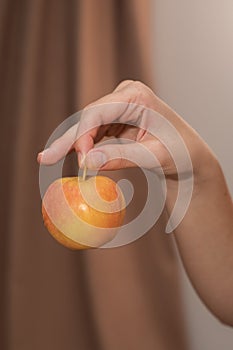 Hand Picking a Fresh Apple. Female hand holding fresh ripe apple