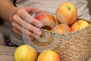 Hand Picking a Fresh Apple. Female hand holding fresh ripe apple