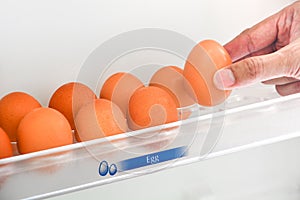 Hand picking fresh chicken egg from the egg shelf in the refrigerator, copy space, breakfast time concept