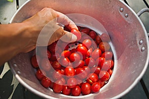 Hand picking fresh tomatoes from a metal bowl countryside harvest season