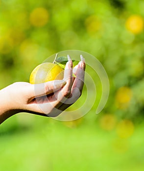 Hand picking an orange