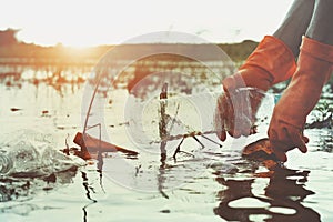 hand picking up garbage plastic for cleaning in river