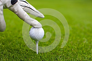Hand placing golf-ball on tee over golf course