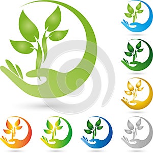 Hand and plant, leaves, naturopath logo