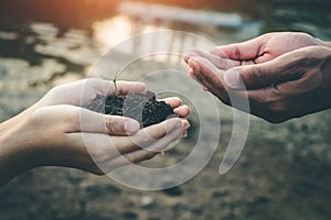 Hand for planting trees back to the forest.