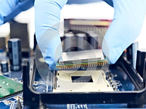 Hand With Plastic Gloves Installing CPU Chip