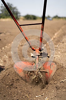 Hand plow on the field, close-up. Plowing the ground before sowing.
