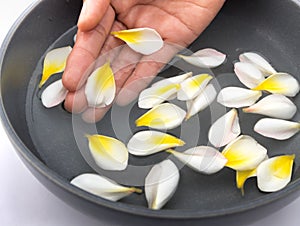 Hand and plumeria spa relax with water, frangipani tropical flow