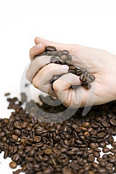 Mano fundición granos de café 