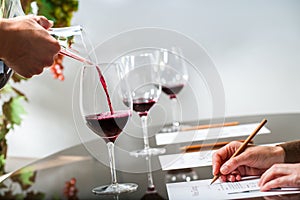 Hand pouring red wine at wine tasting.