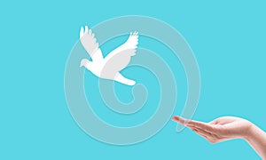 Hand praying and birds free enjoying nature on light blue background hope and freedom concept